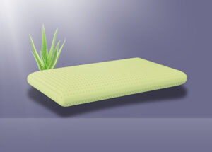 Aloe Vera 13,80cm
