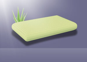 Aloe Vera 16cm
